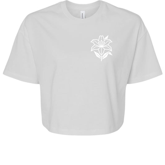 Vintage White - 6482 - FRONT